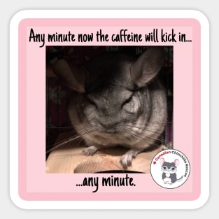 Chinchilla Thoughts Sticker